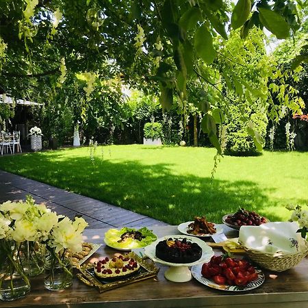 Hotel Vanilla Timișoara Zewnętrze zdjęcie