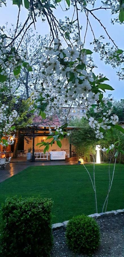Hotel Vanilla Timișoara Zewnętrze zdjęcie